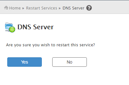 Restart WHM DNS