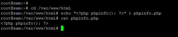 How to create phpinfo page