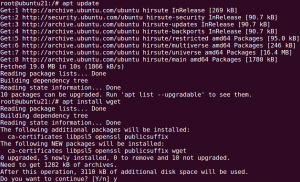 How to install wget on Ubuntu 21.04