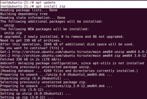 How to install zip package on Ubuntu 21.04 server