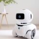 Evo Robots