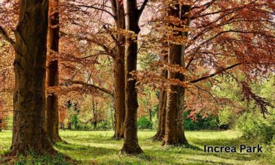 Increa Park