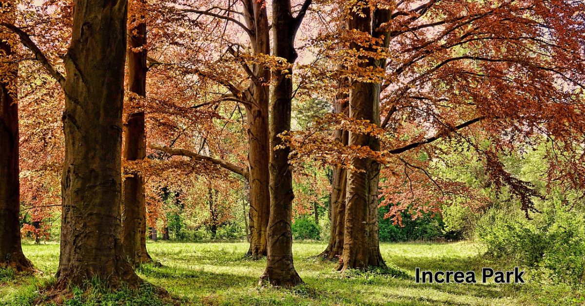 Increa Park
