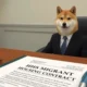 doge hhs migrant housing contract